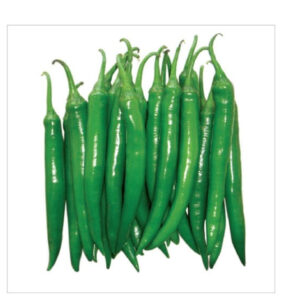 Agri Bazar Hybrid Green Chilli (Mirchi) Seeds
