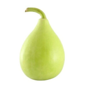 Agri Bazar Bottle Gourd Bulb Seeds (Lauki/Ghiya)