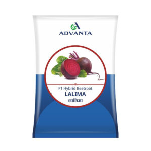 Advanta F1 Hybrid Lalima Beetroot Seeds