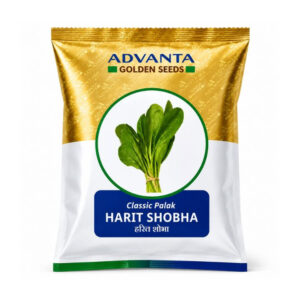 Advanta Harit Shobha Palak Seeds – Spinach Seeds
