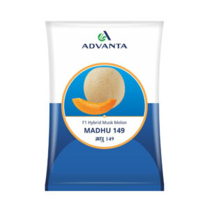Advanta Madhu 149 Muskmelon Seeds – Kharbuja Seeds