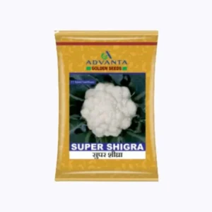 Advanta Super Shigra Cauliflower Seeds - 10 gm