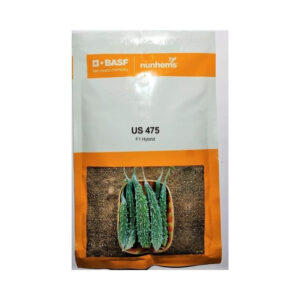 BASF Nunhems US 475 F1 Hybrid Bitter Gourd Seeds