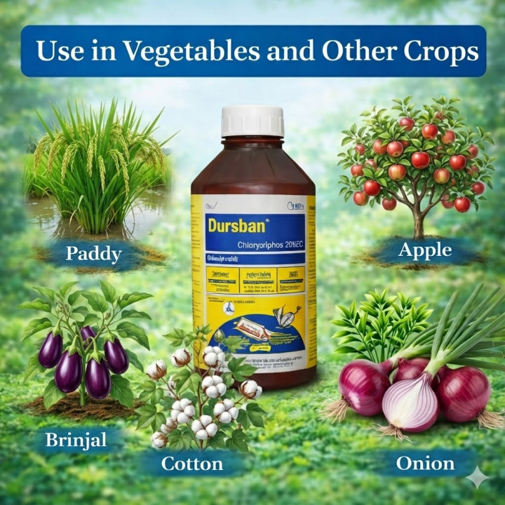 Crystal Dursban Chlorpyriphos 20% EC Insecticide - Image 3