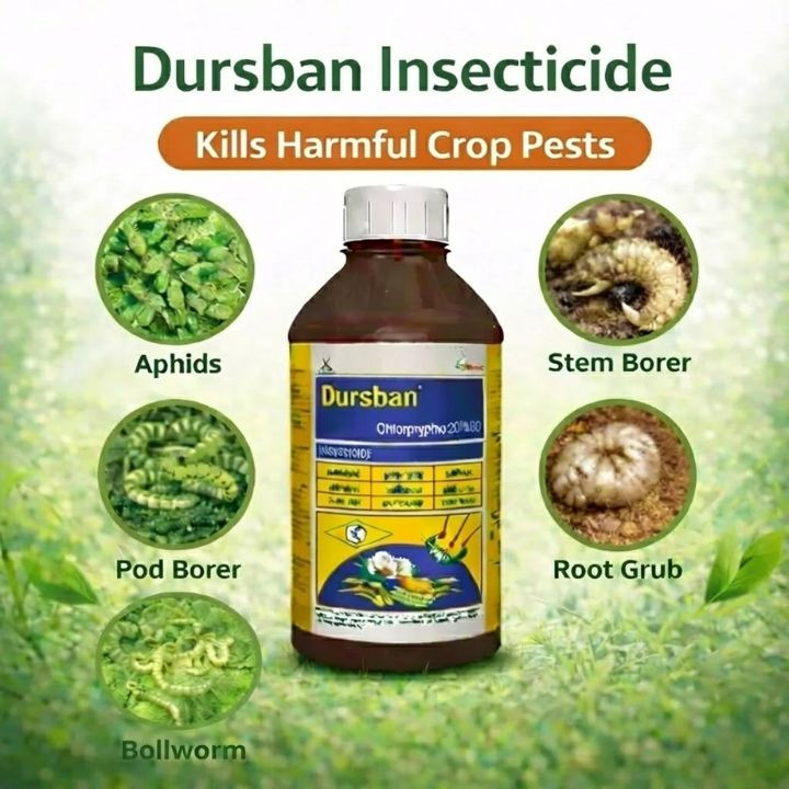 Crystal Dursban Chlorpyriphos 20% EC Insecticide - Image 2