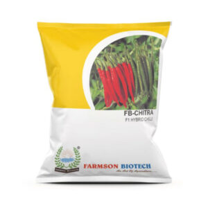 Farmson biotech fb chitra chilli seeds