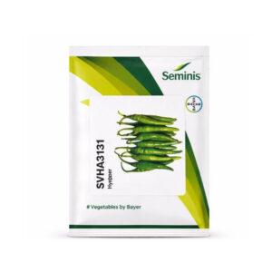 Seminis SVHA3131 Hybrid Hot Pepper Seeds