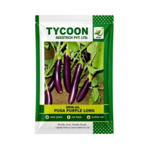 Hybrid Pusa Purple Long Brinjal Seeds – Baingan Seeds