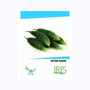 Iris Hybrid F1 Bitter Gourd Seeds