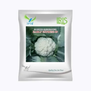 Iris Hybrid F1 Cauliflower Early Express