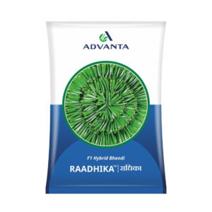 Advanta Raadhika Bhindi Seeds