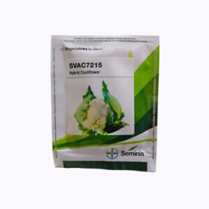 Seminis Svac7215 F1 Hybrid Cauliflower Seeds