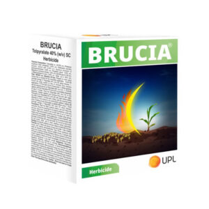 UPL Brucia Tolpyralate 40% SC Herbicide for Maize