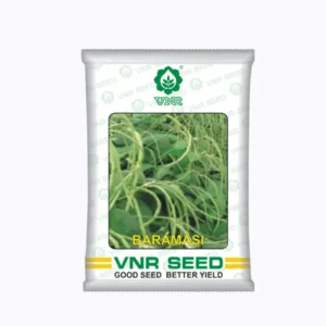 VNR Cowpea baramsi seeds