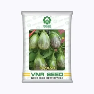 VNR Simran Brinjal Seeds